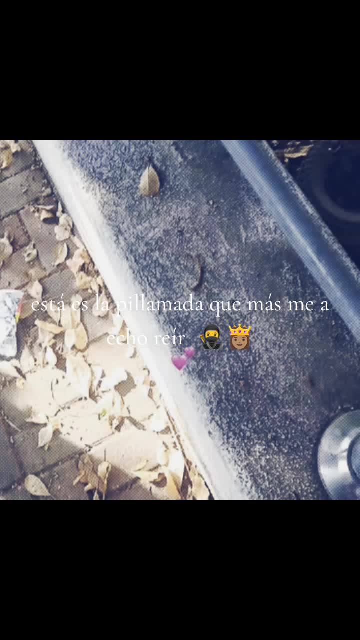 @la gata