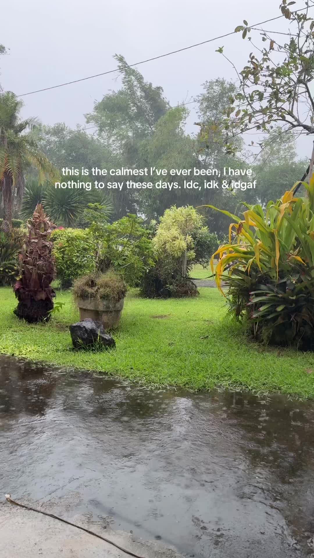 @☁️กٱกﻉ