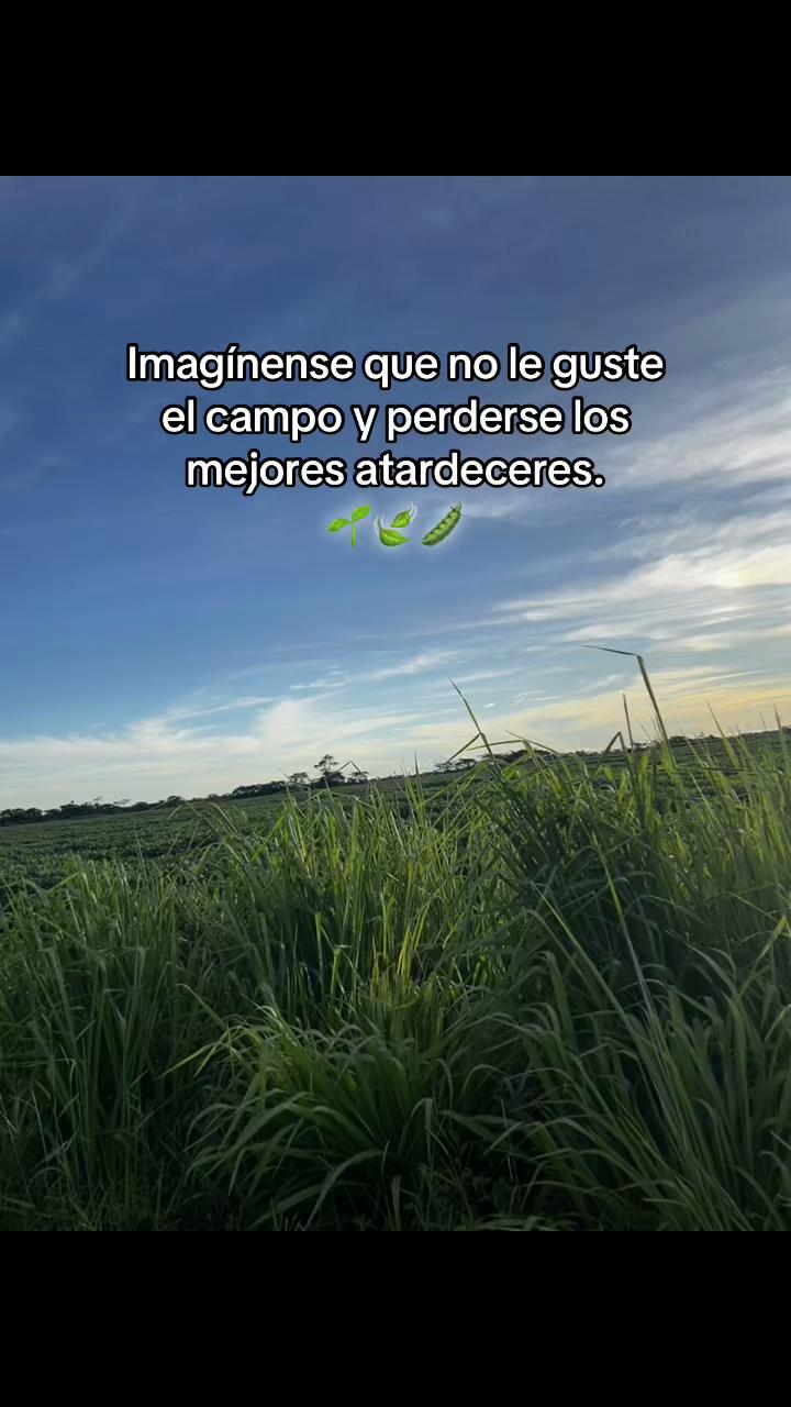 @Mayte Llanos