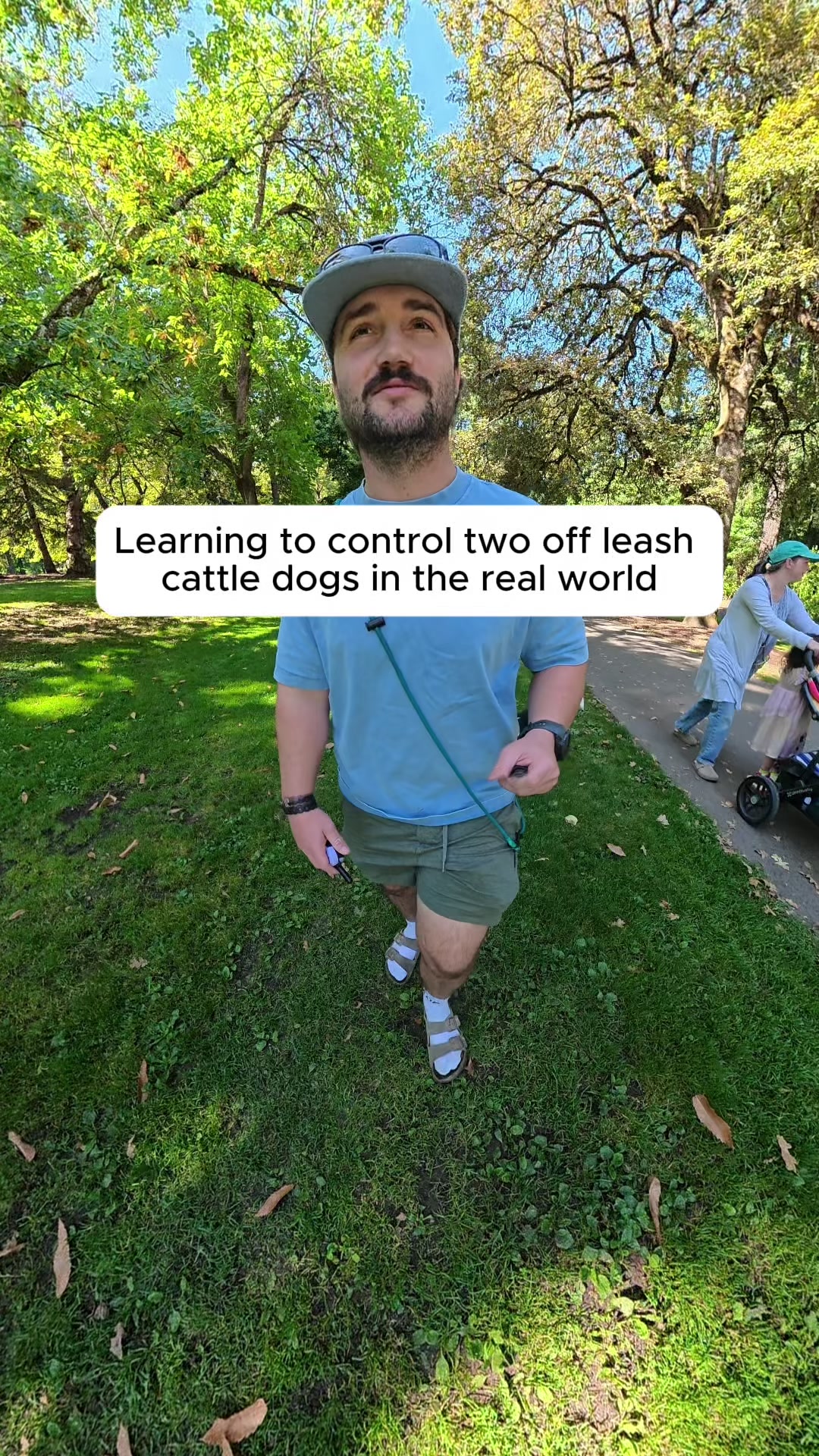 @forthedogs