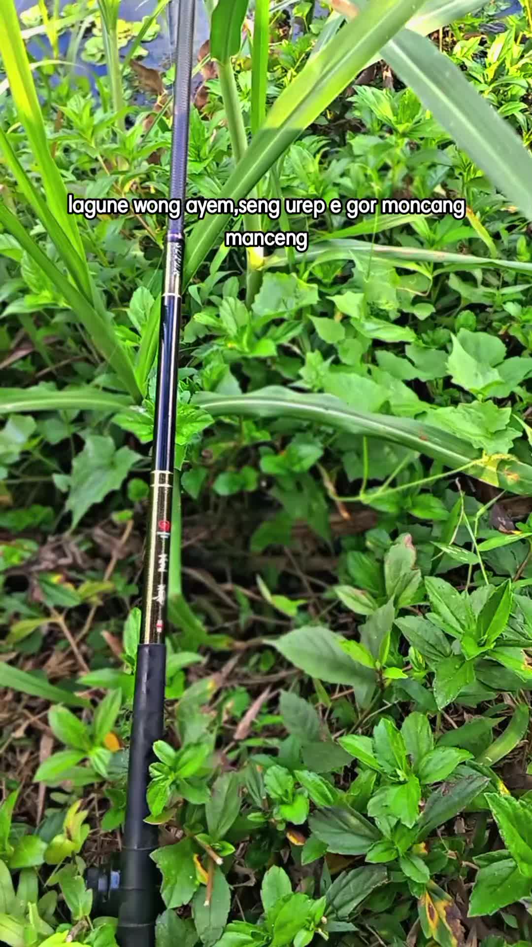 @𝙏𝙮𝙤𝙭𝙯_ska FSNG