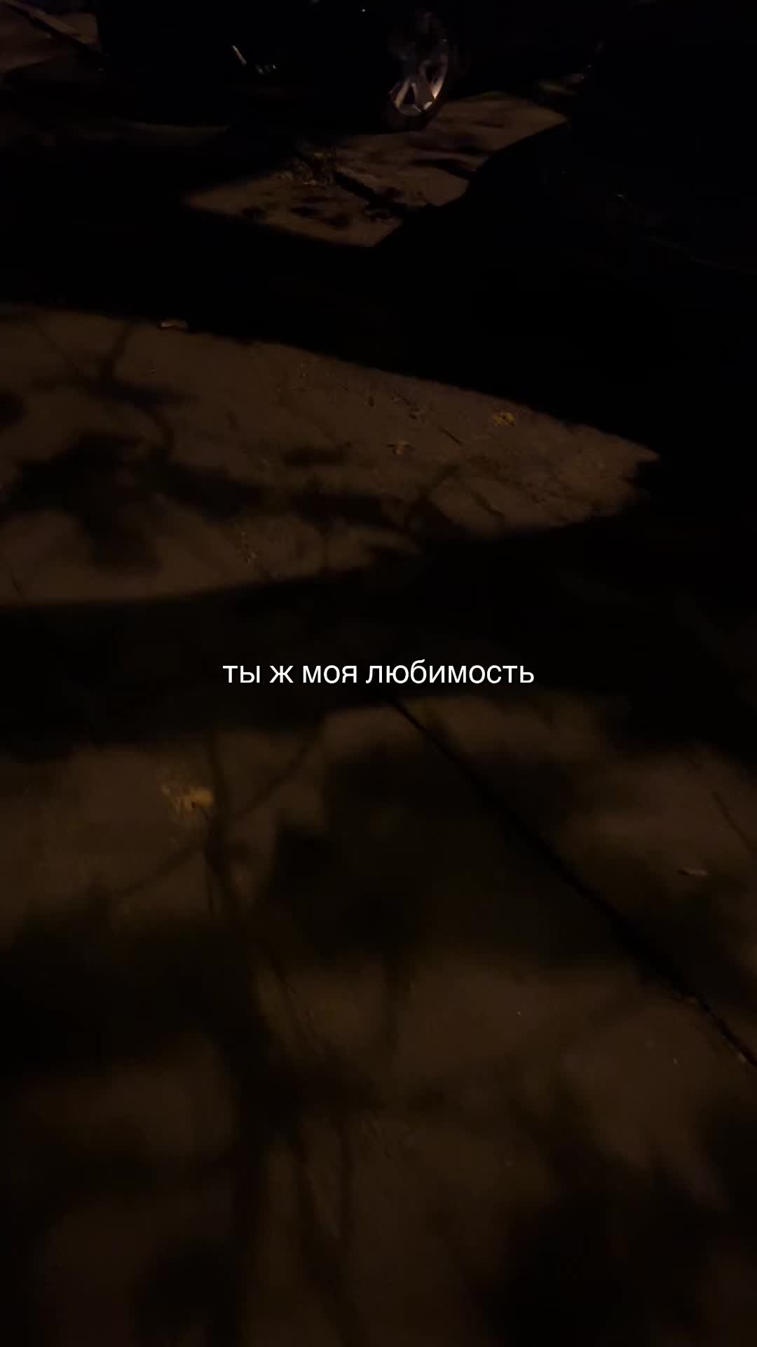 @лю     бов      ник