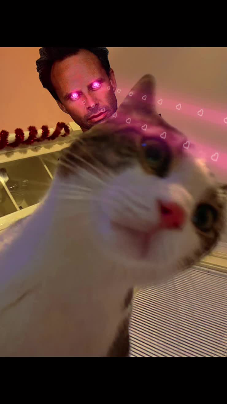 @Cat