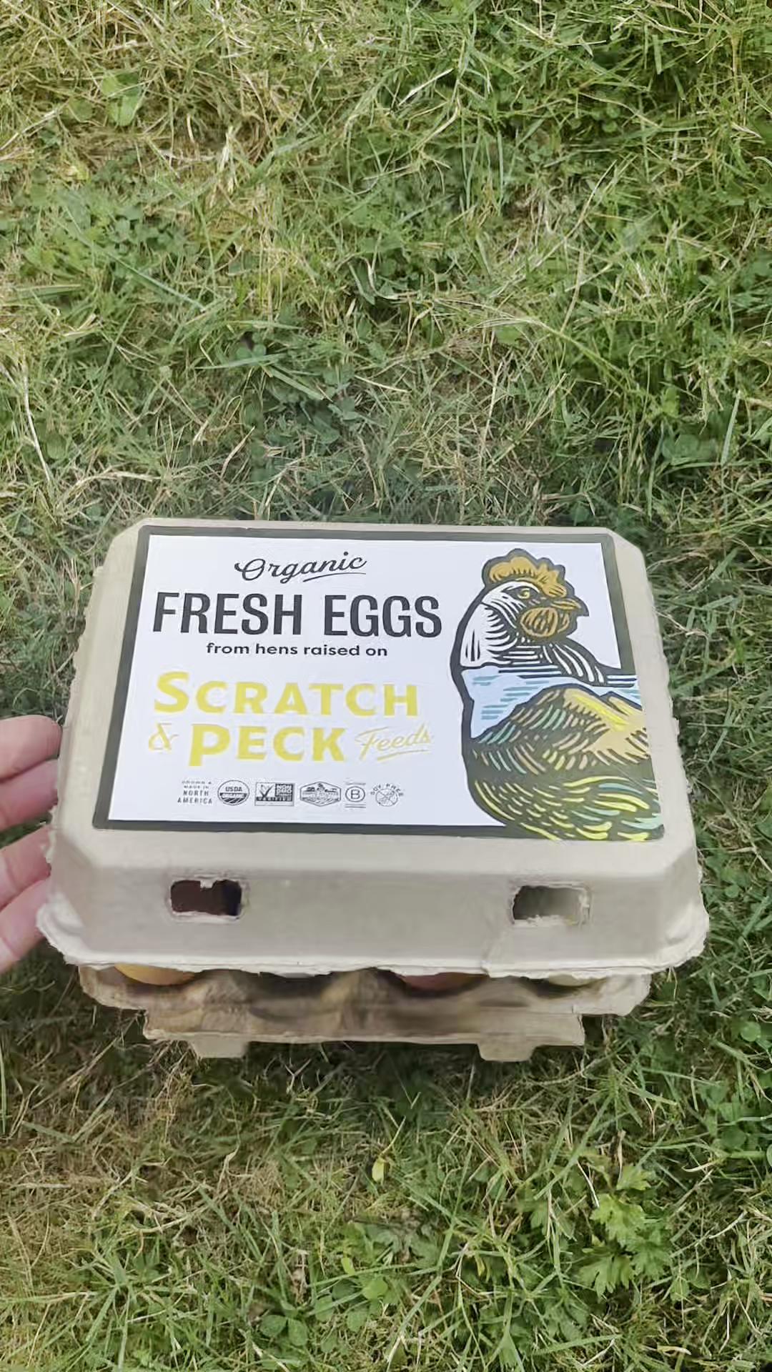 @Scratch and Peck Feeds