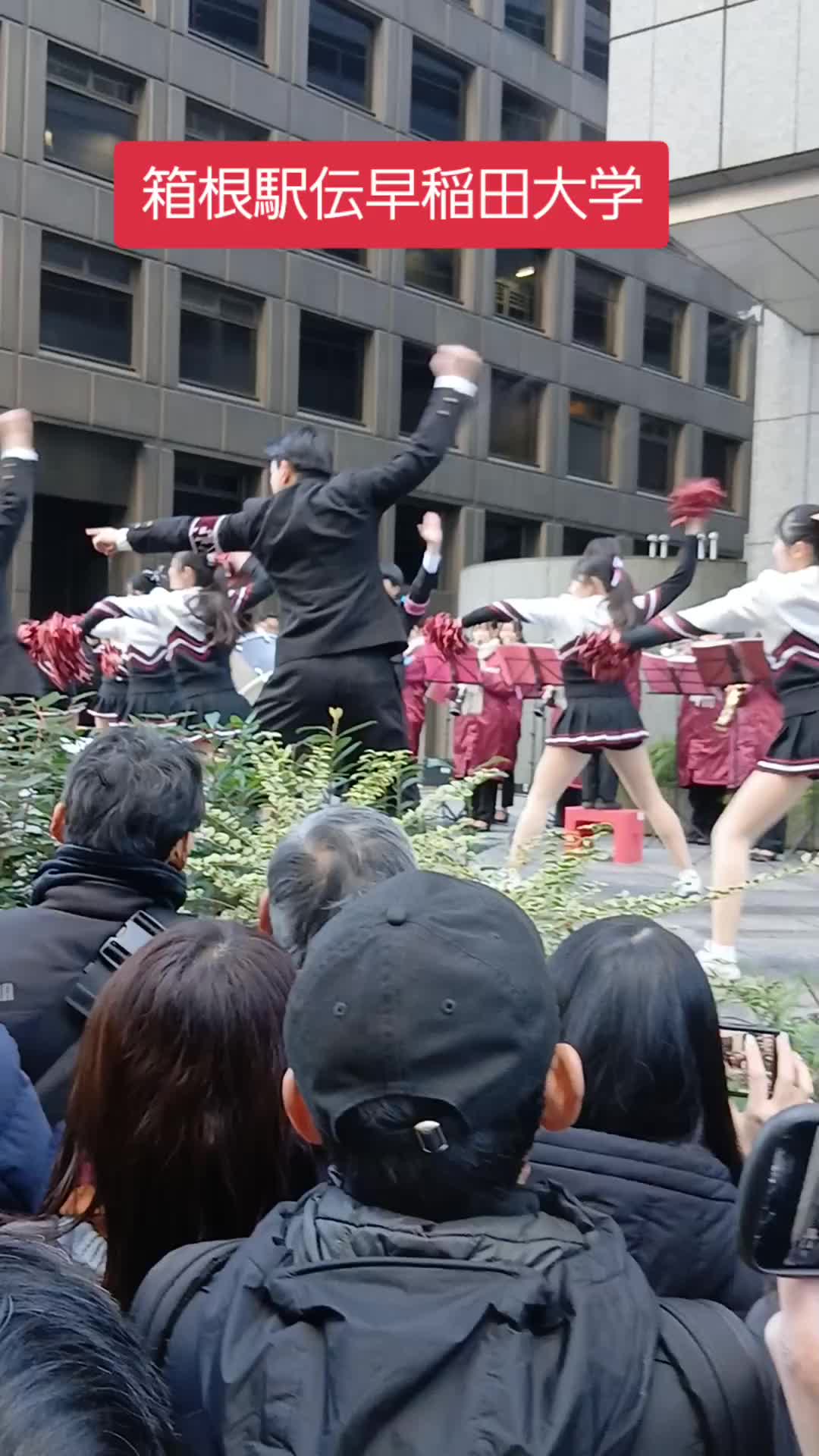 @きなこもち😂