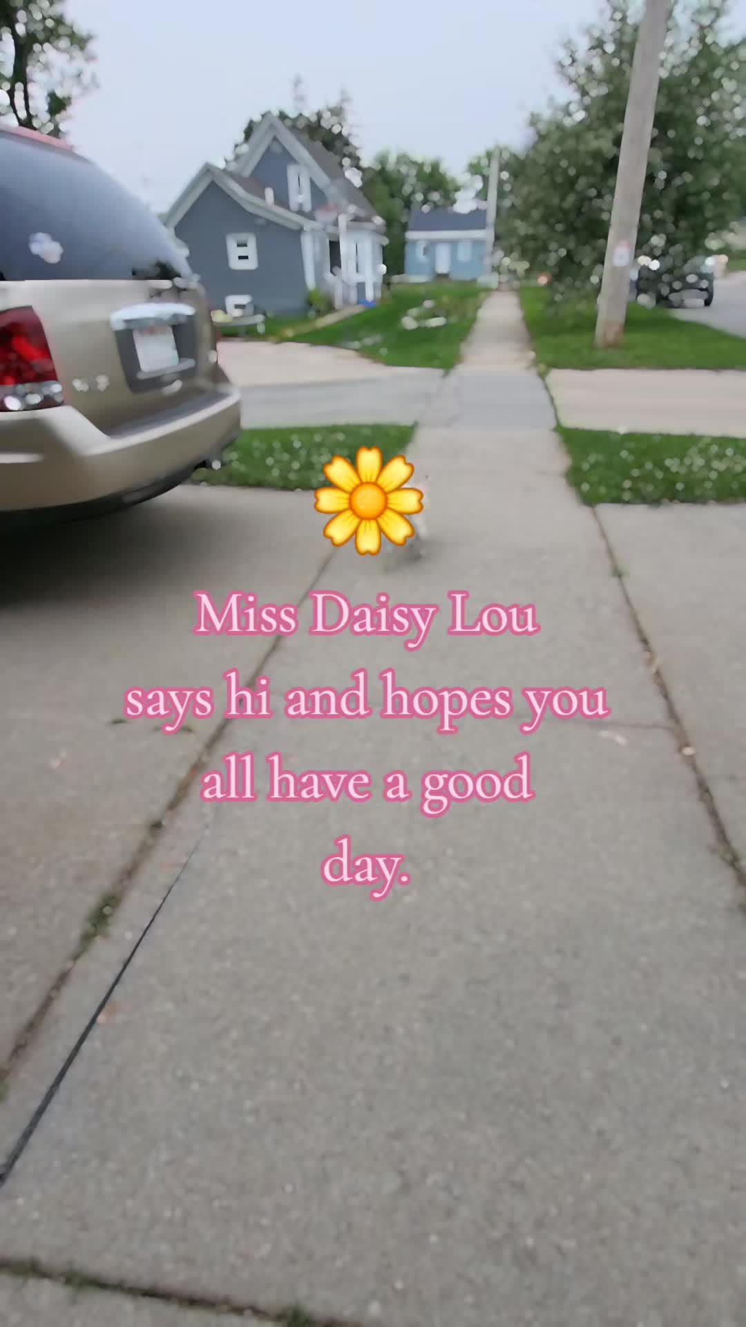 @💚kellymarie💚117💚
