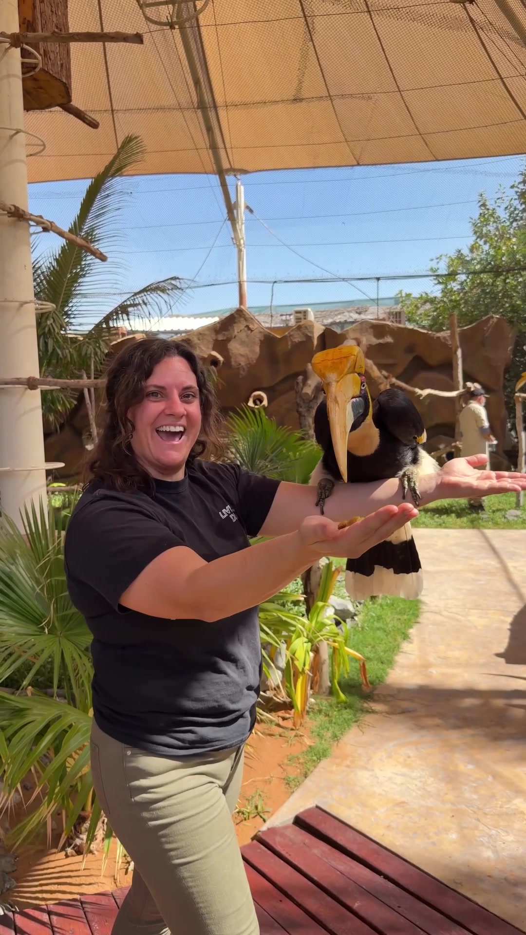@The Reptile Zoo