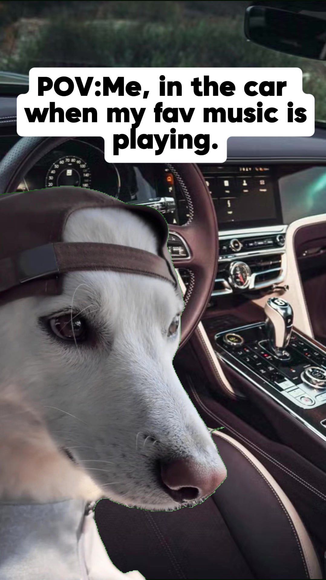@🧨🐺Treyson_teamwolf🐺🧨