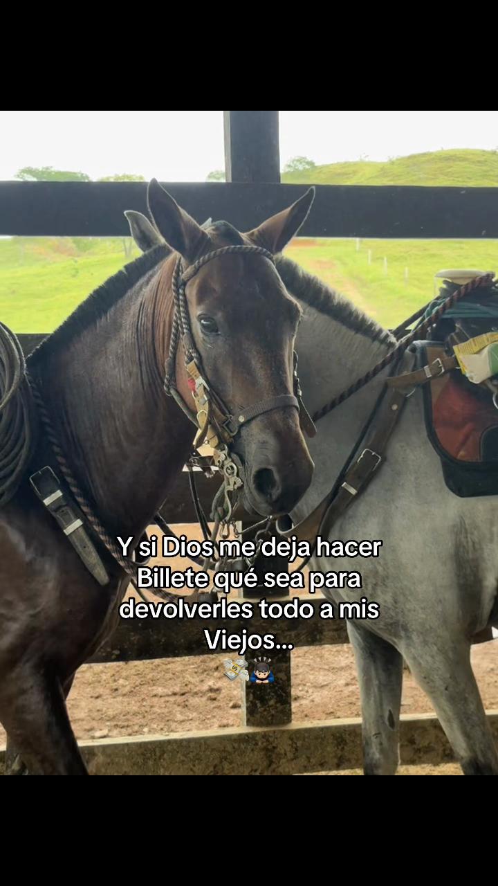 @Didier_🤠