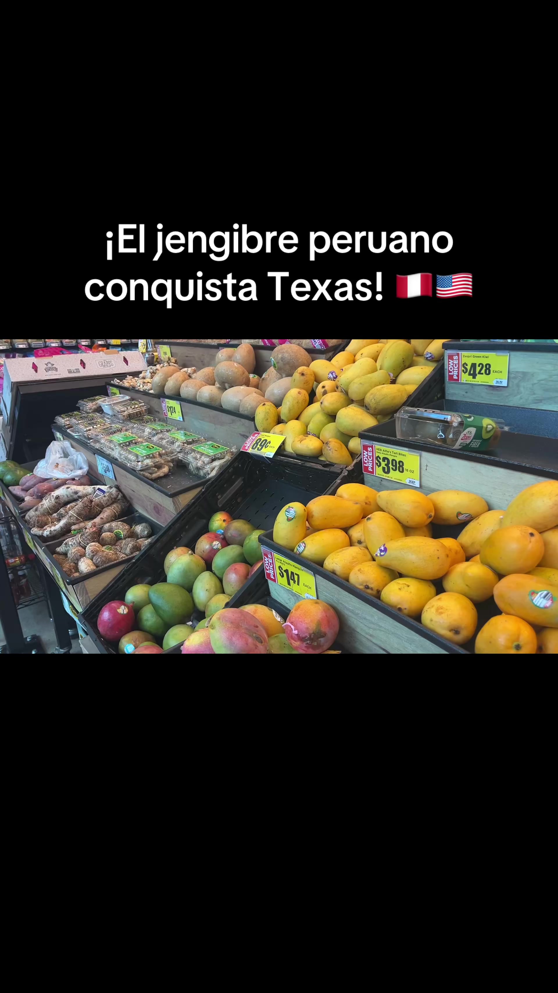 @Gato en Texas 🇵🇪👍🇺🇸!