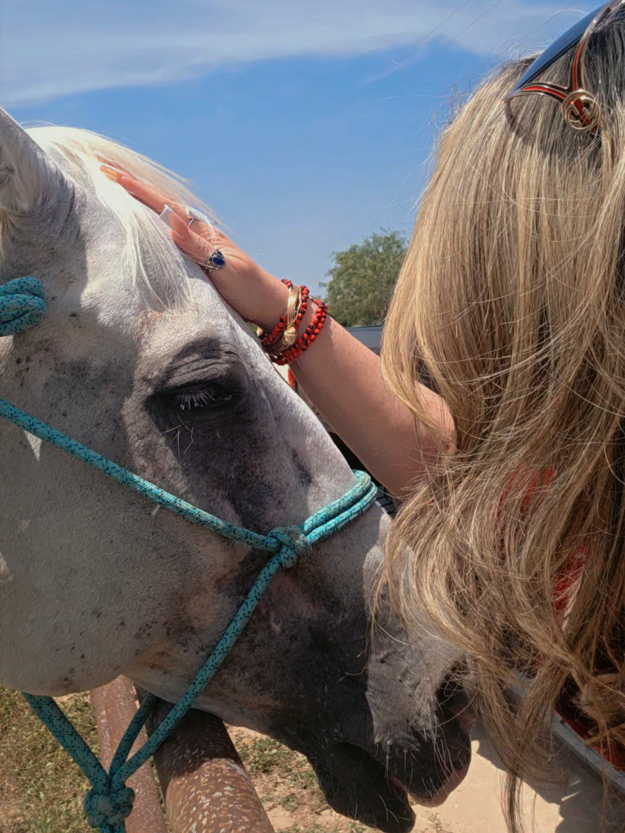 @CLAUDT777🦋👑♌️