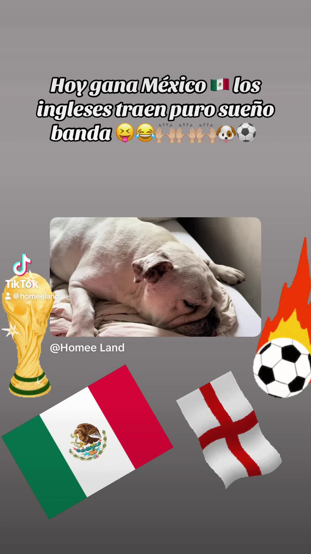 @Homee Land