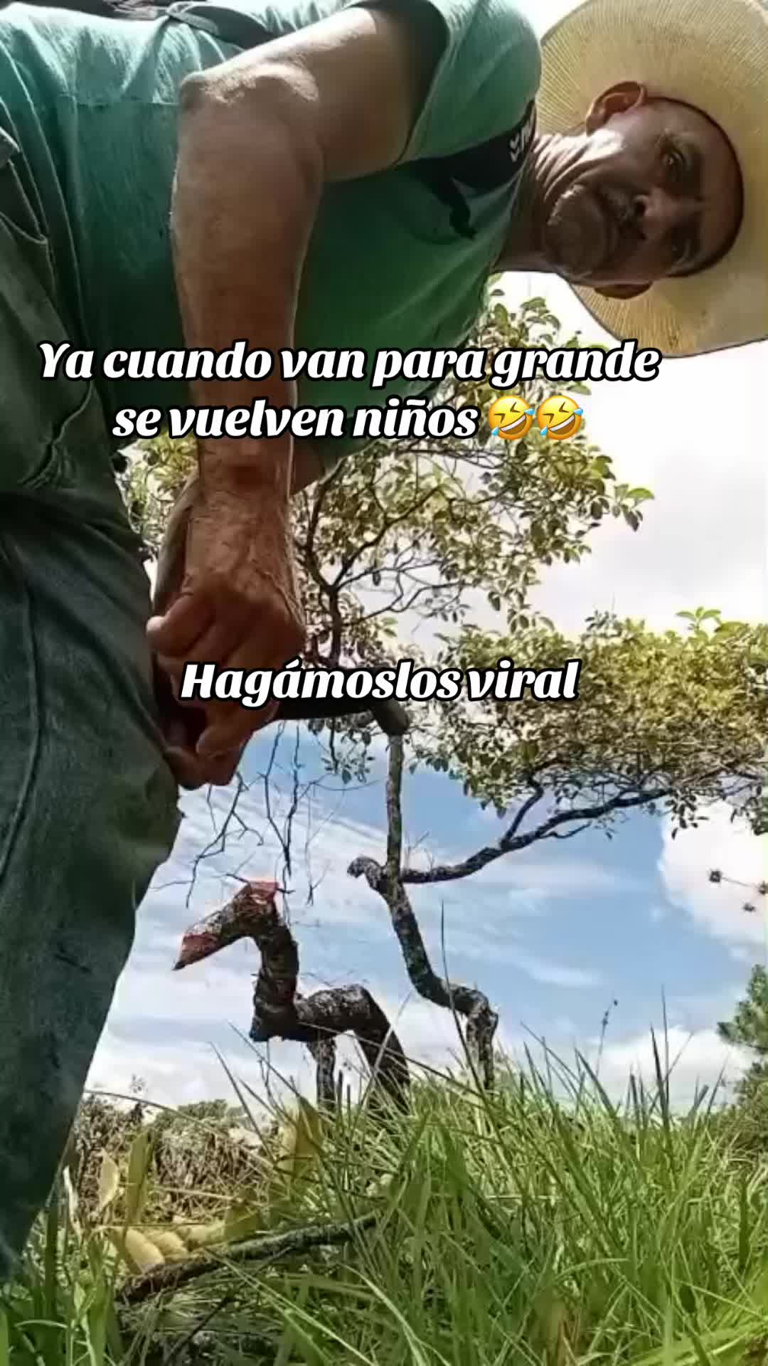 @Alizon Maldonado