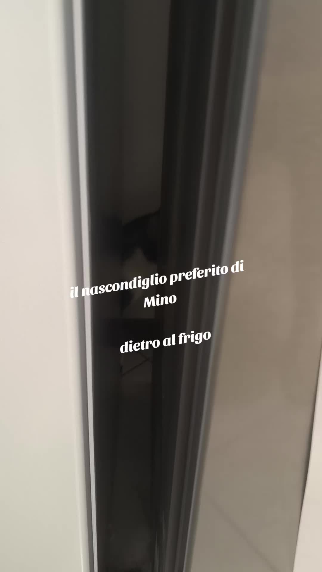 @Pina