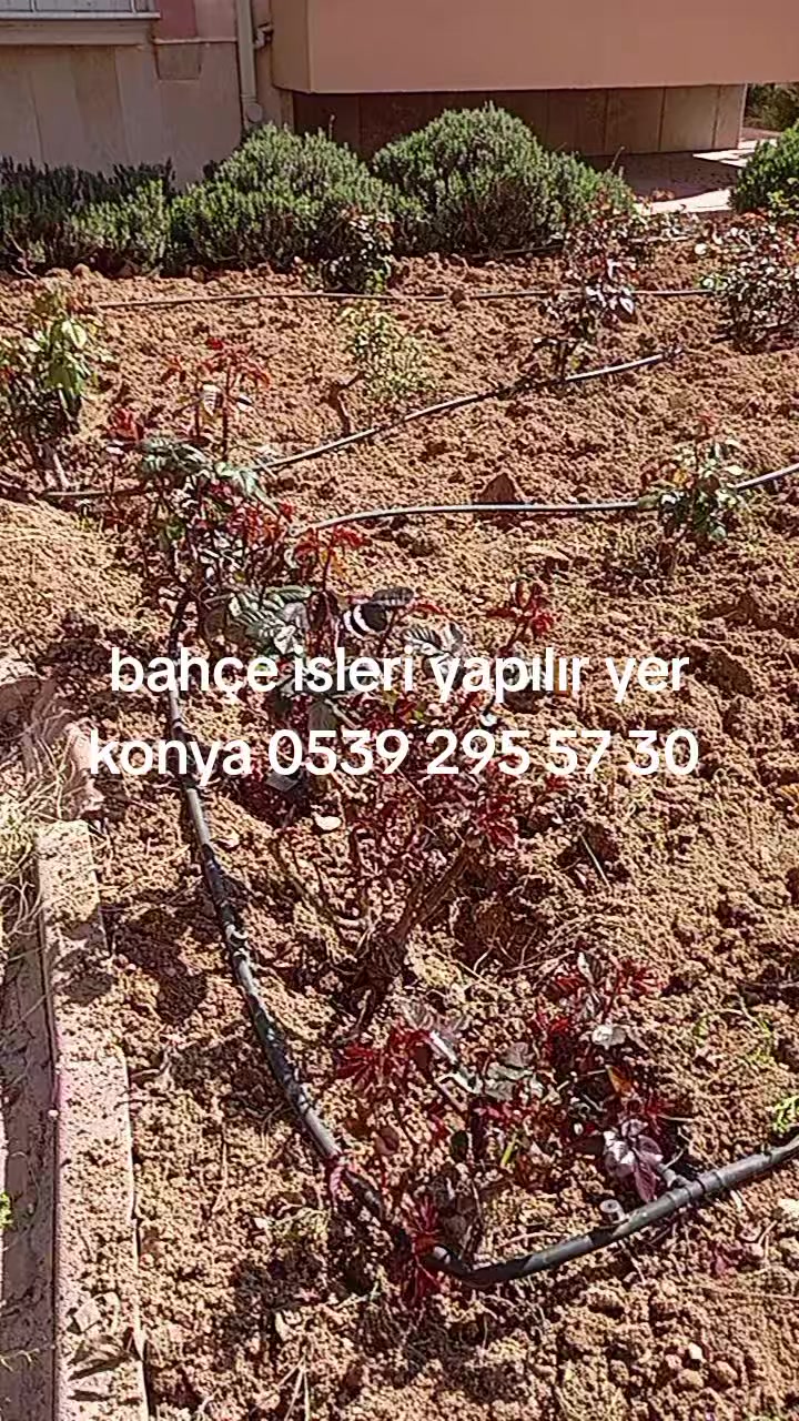 @24_10 2025 polat göçer