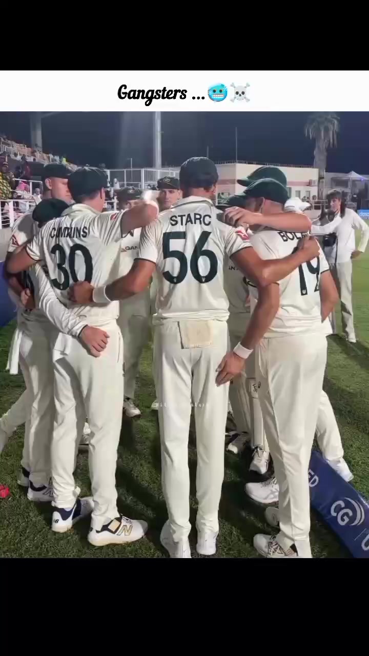 @Mitchell starc