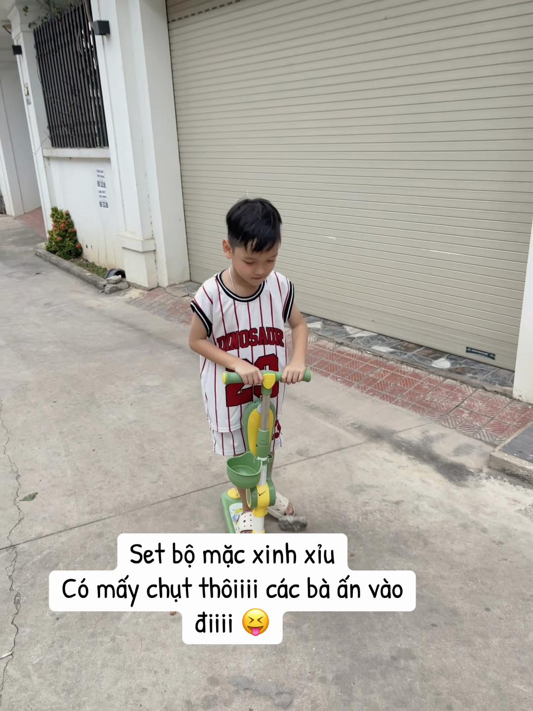 @Cá Heo Cá Voi