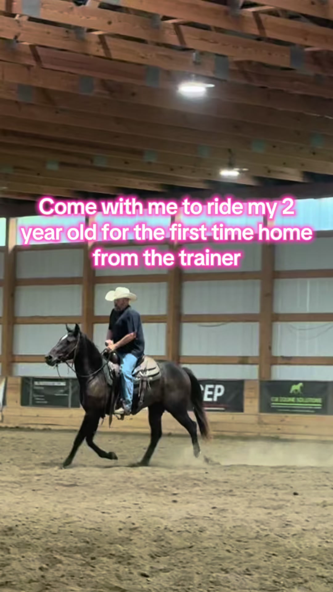 @Living Lucky Quarter Horses