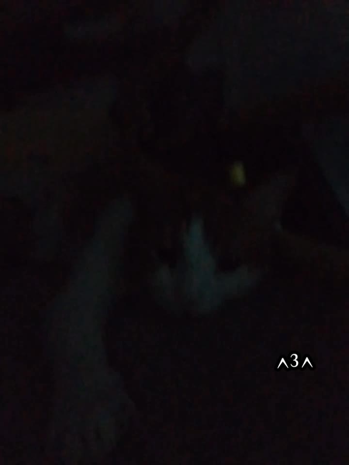 @ЮМА!! *~