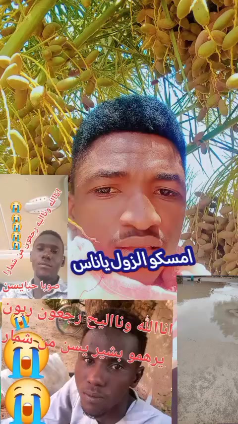@حامدشعيب ودشمار 🇸🇩🇳🇬⚔️