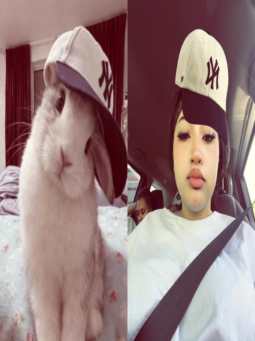 @HotdogHotdog22