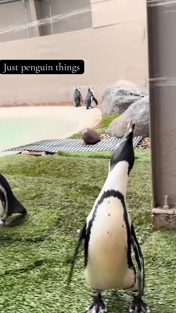 @TanganyikaWildlifePark