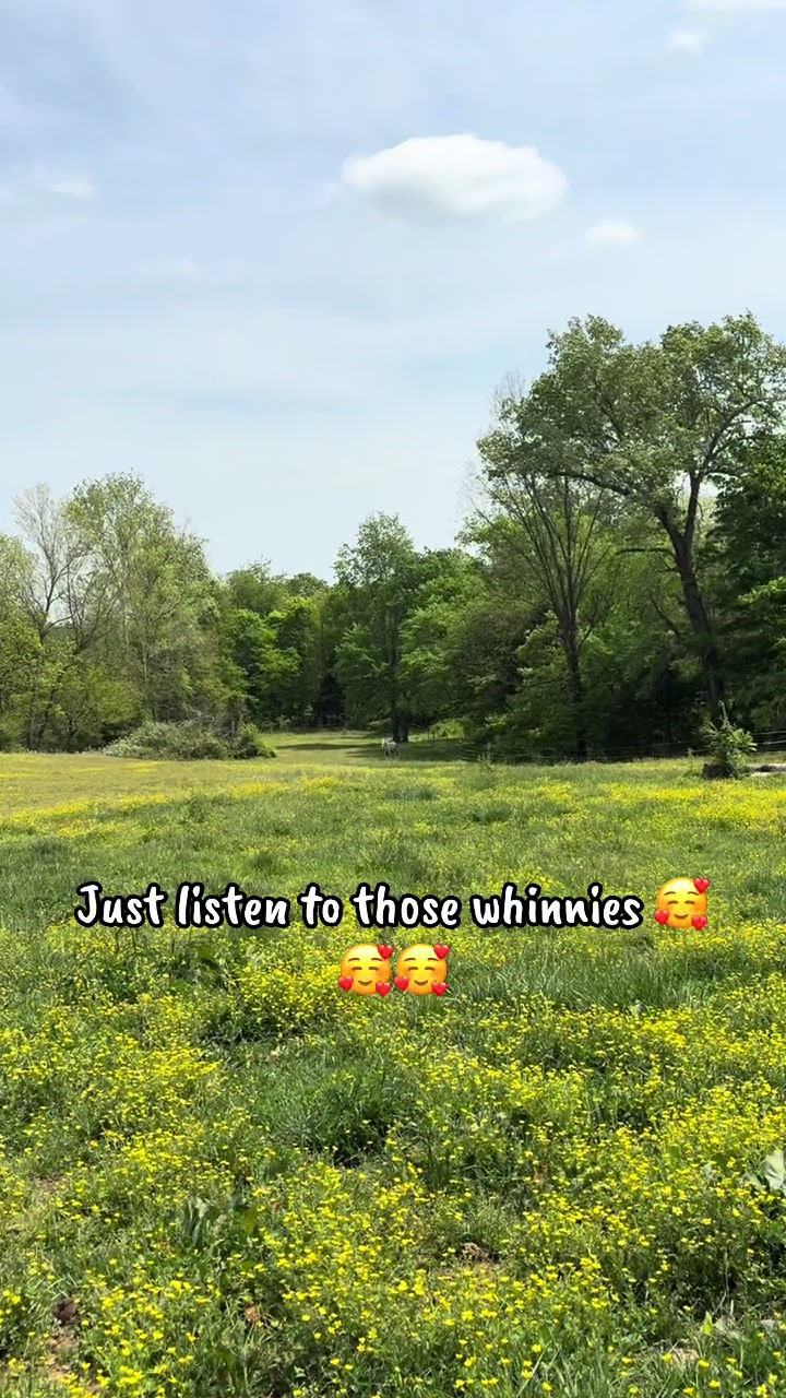 @Lindsey DJ.4562