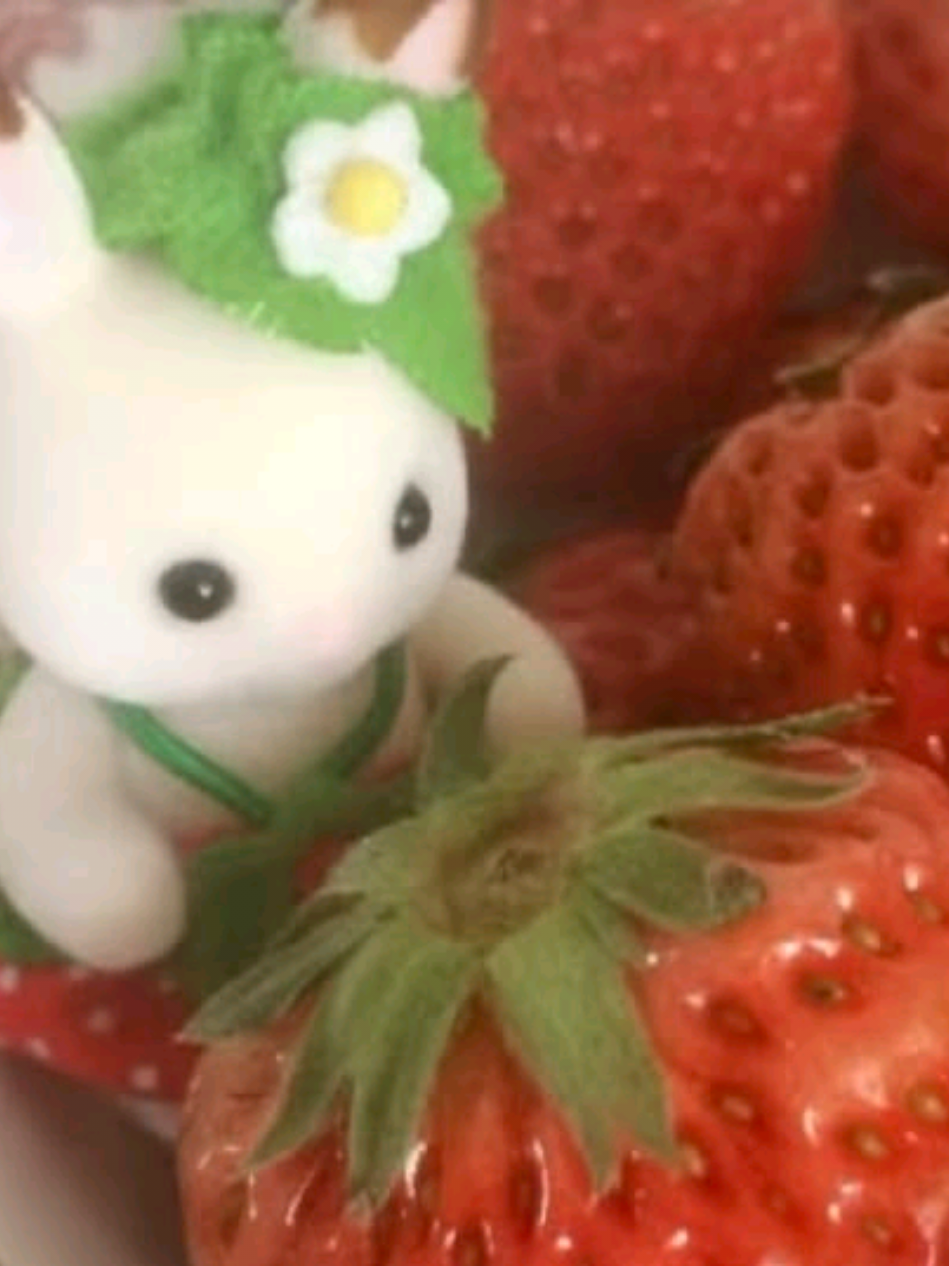 @#   𝙡𝙞𝙣𝙖   (🍉)