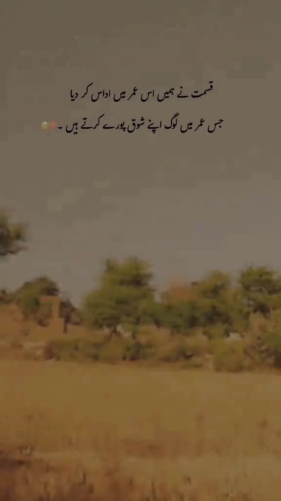@Tayyab Khan