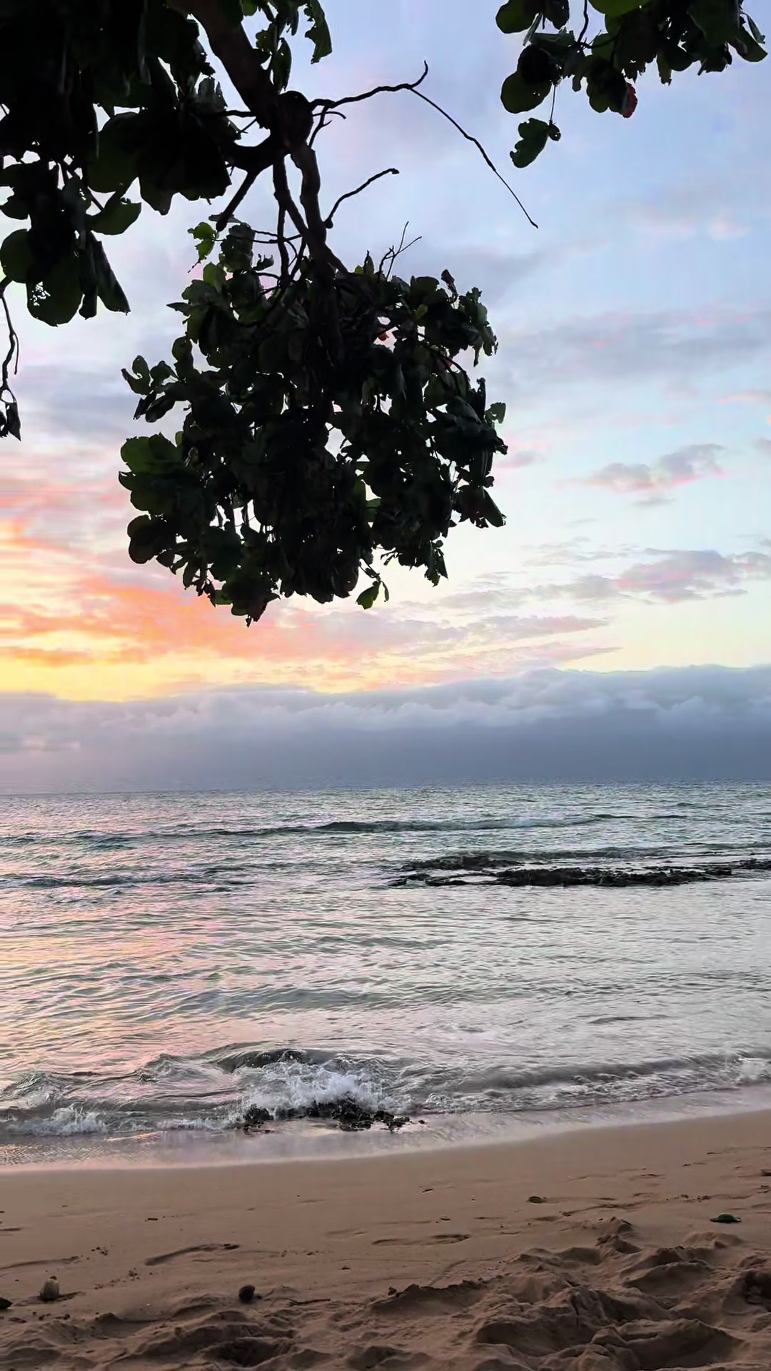 @Mauilani