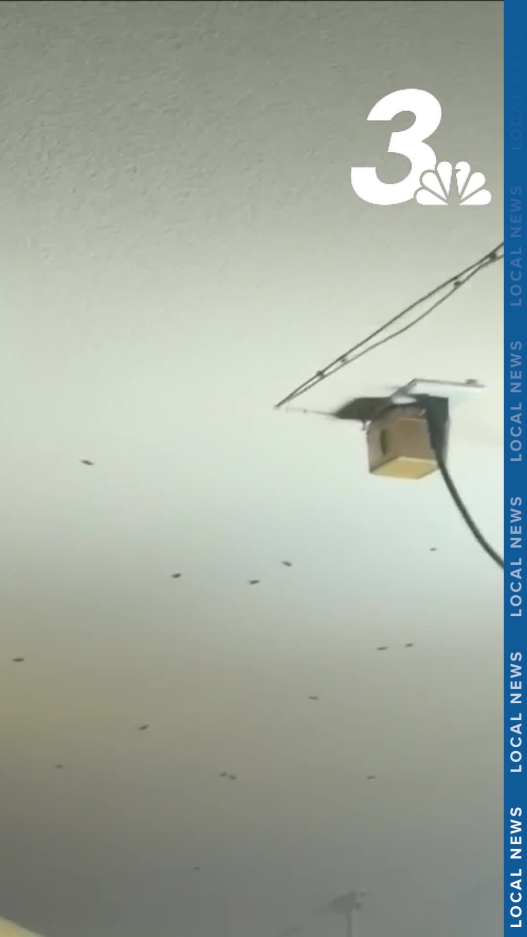 @KSNV News 3 Las Vegas