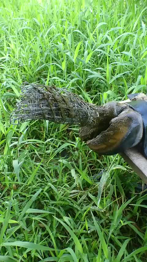 @NY APOY
