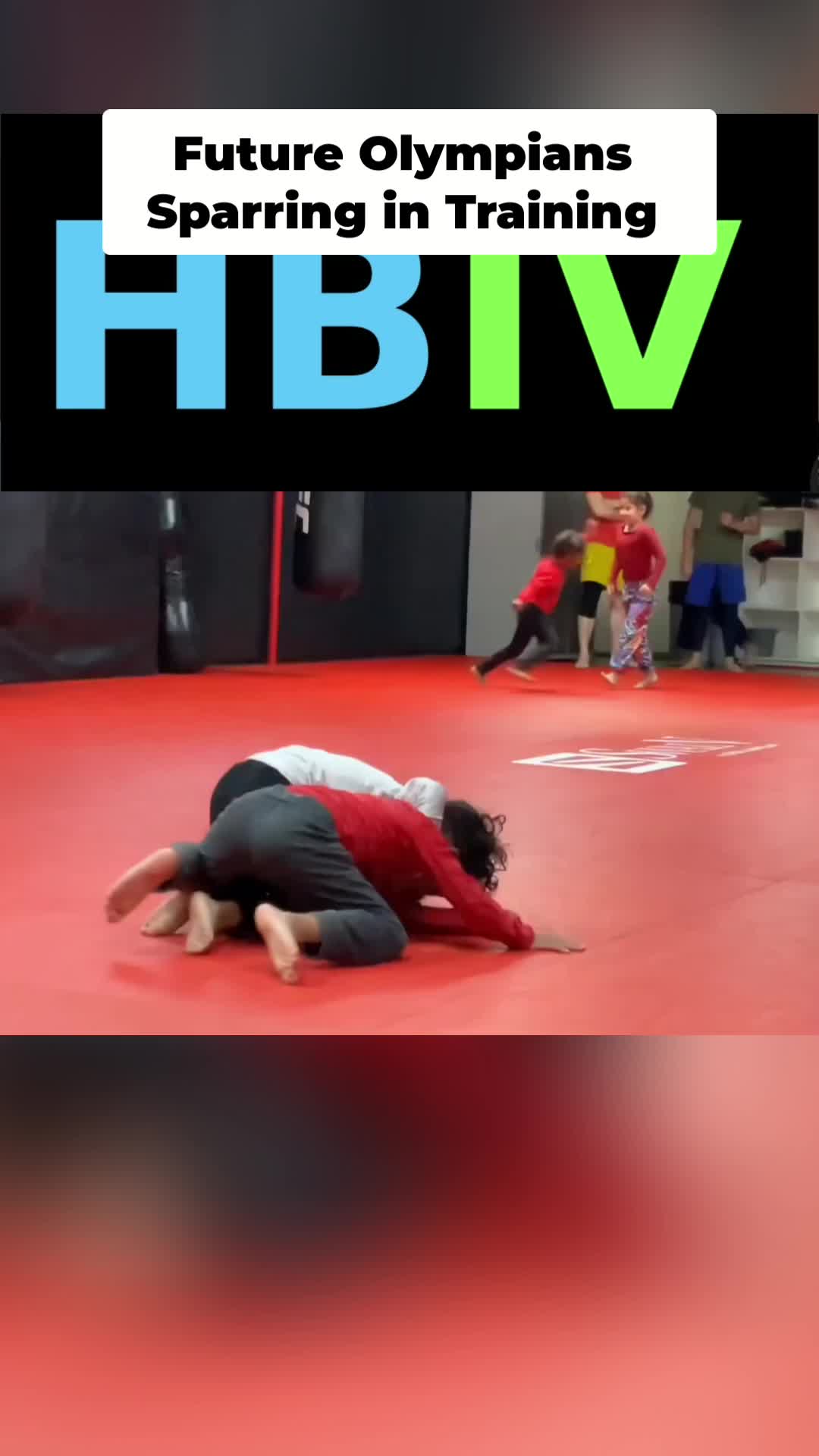 @HBIVthesamurai