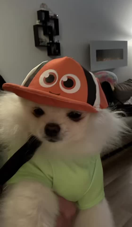 @doougsquad