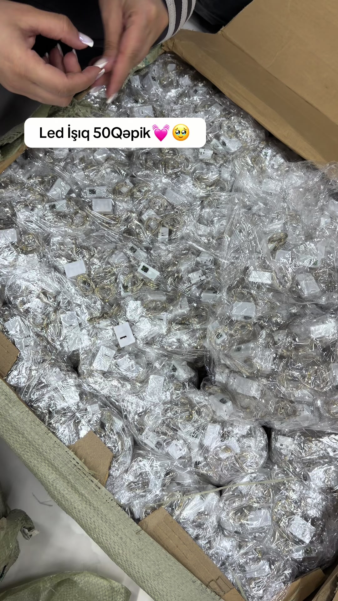 @Qutu Mutu Magazalar Sebekesi