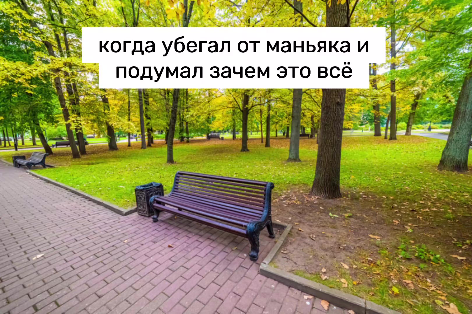 @DOLMANE