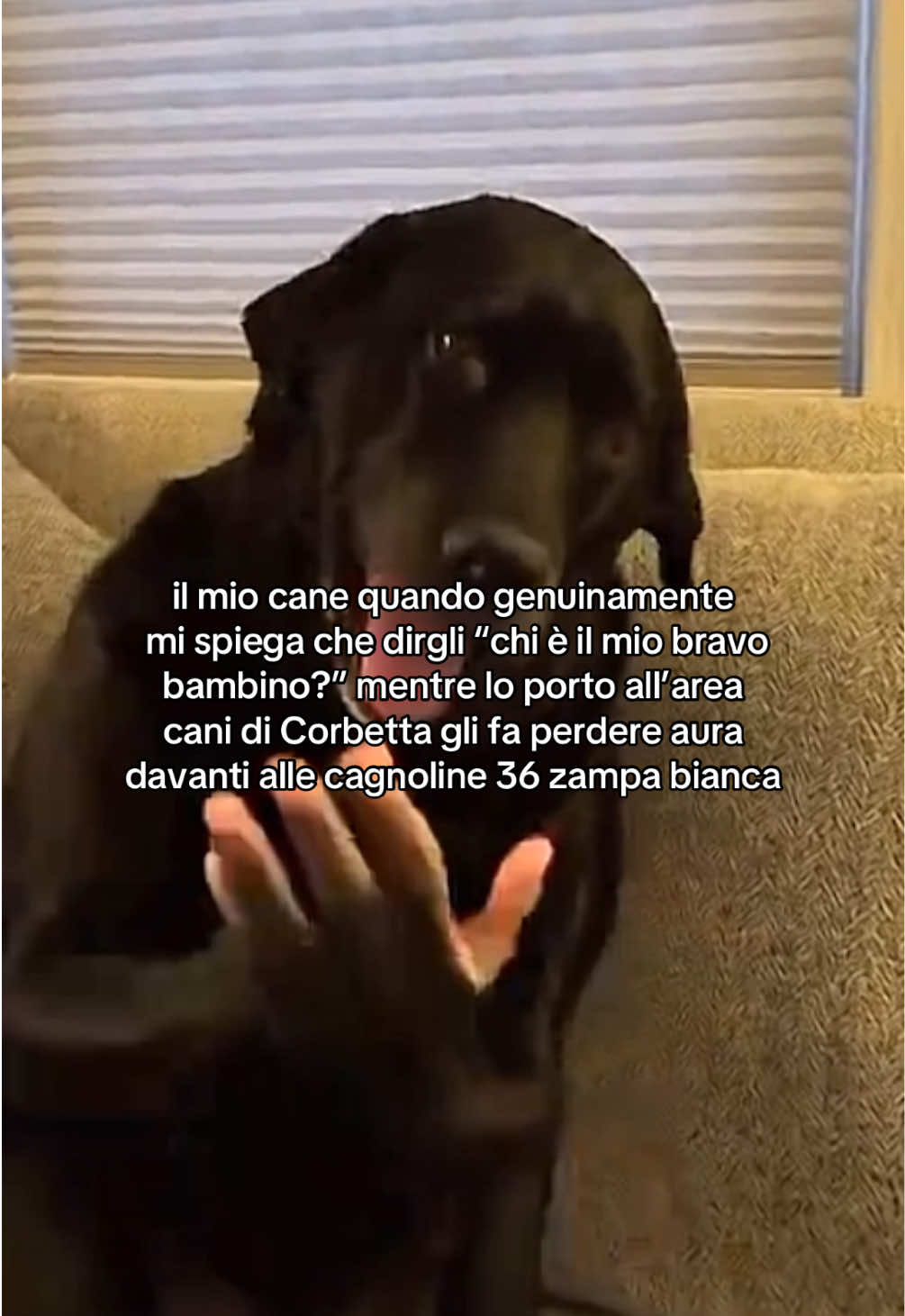 @Marco Ballarini Sindaco