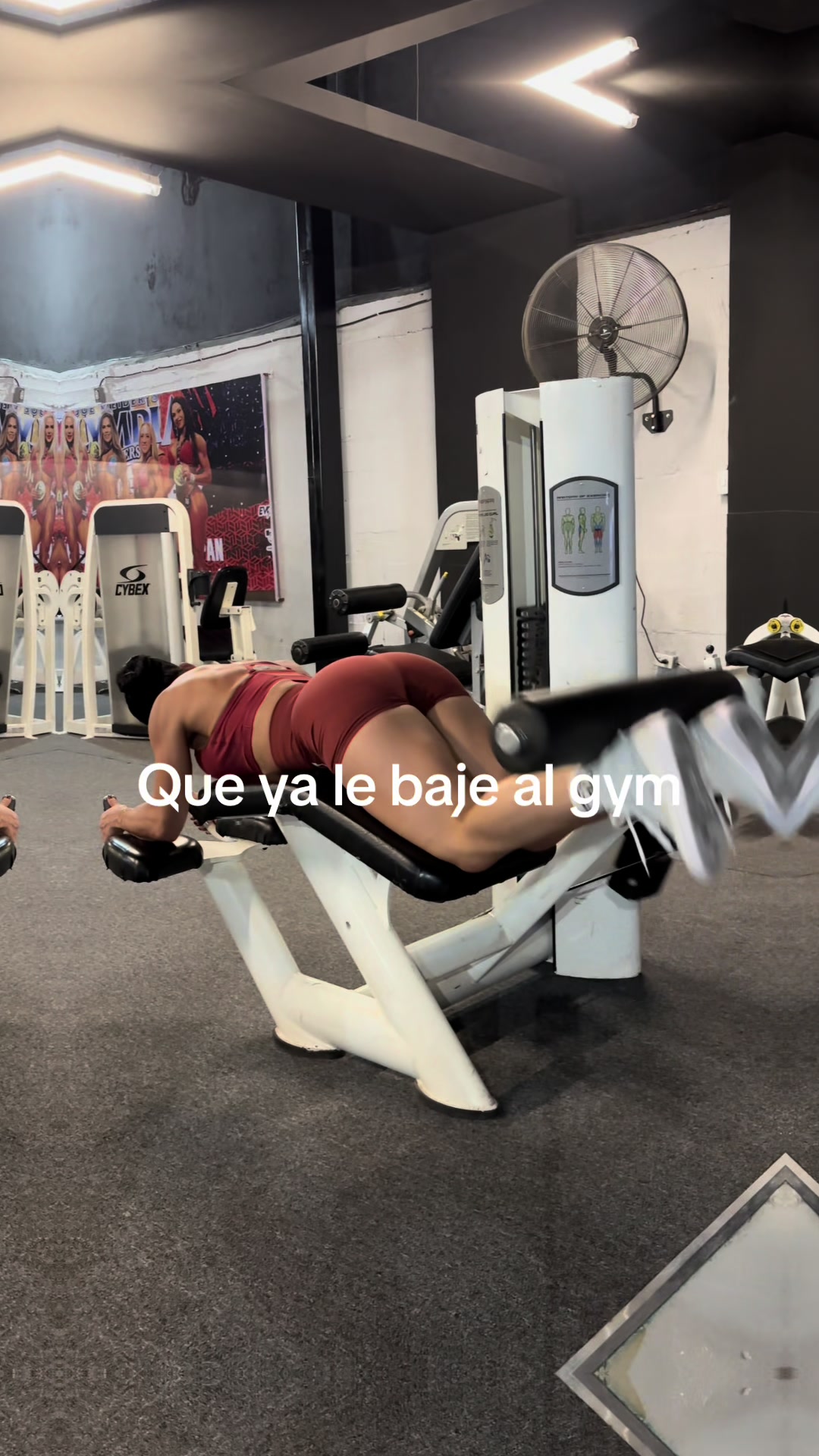 @Angelica Tamayo