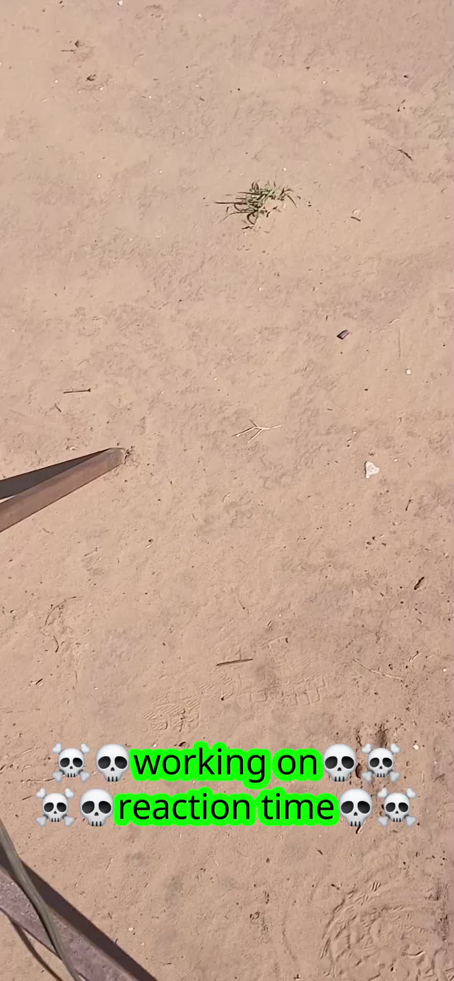 @rcmata87