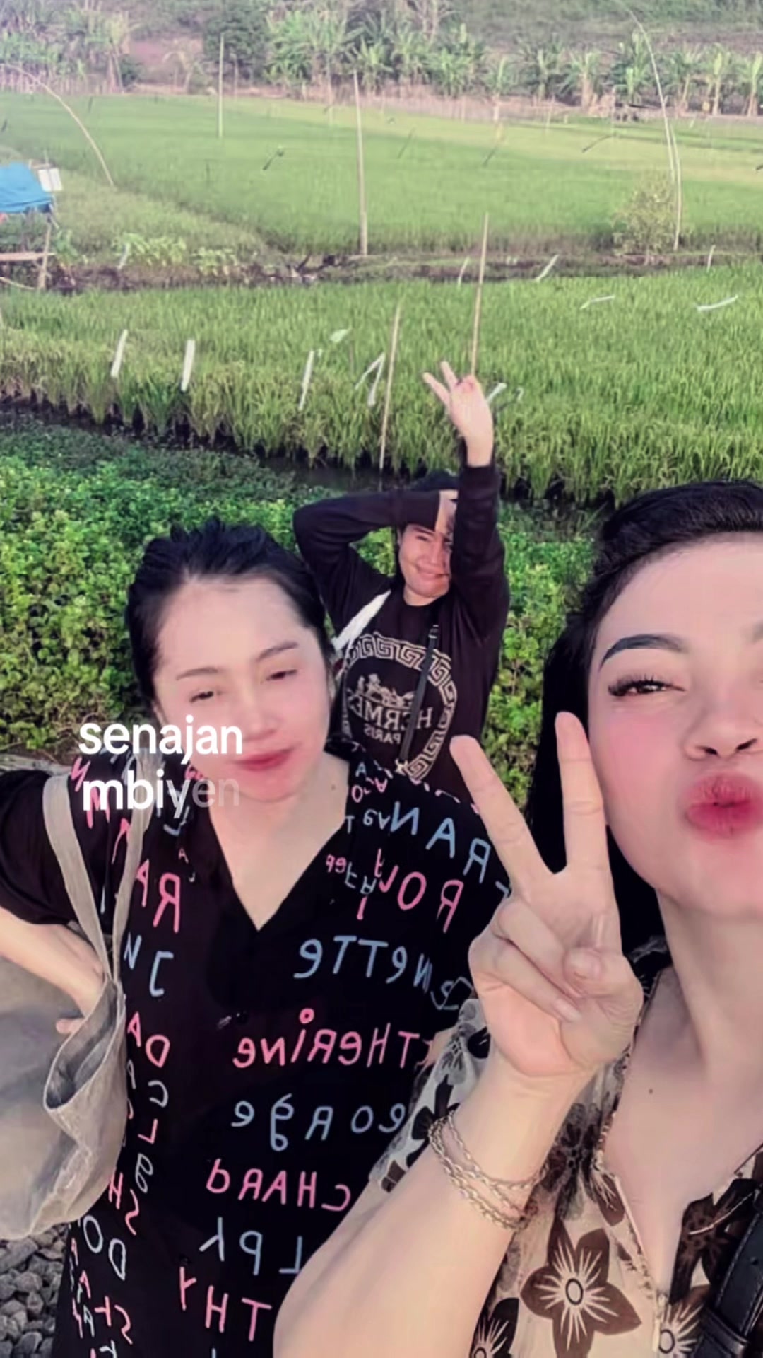 @mei