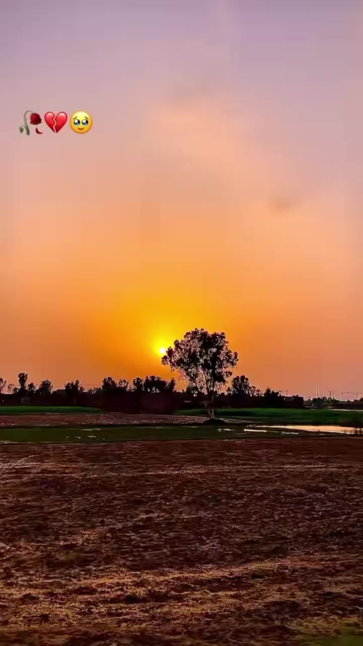 @Mohammed Arslan Ali
