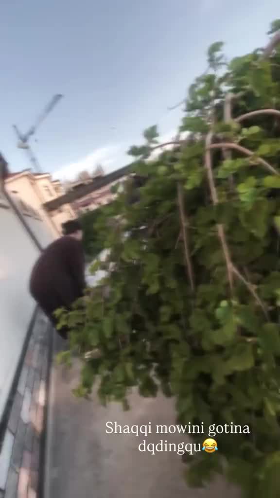 @Расулбек