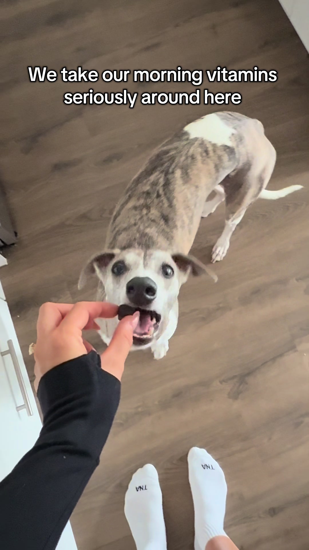 @Kayce Dog🤪🩷