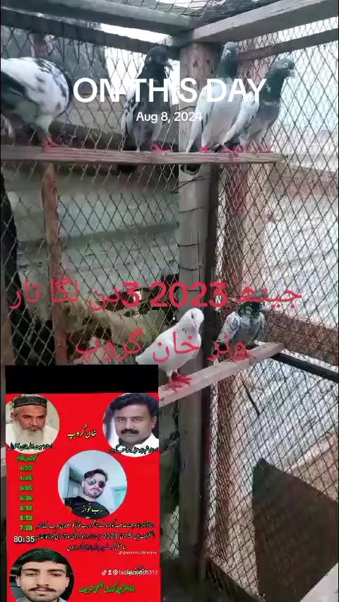 @LadlaBaloch313bv