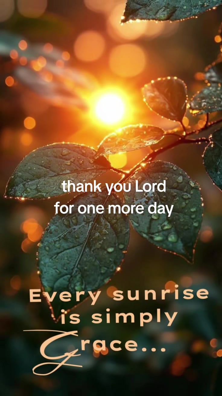 @Navs  🇫🇯 👋 ✝️🎄 🌴 👏 ❤️ ✨️