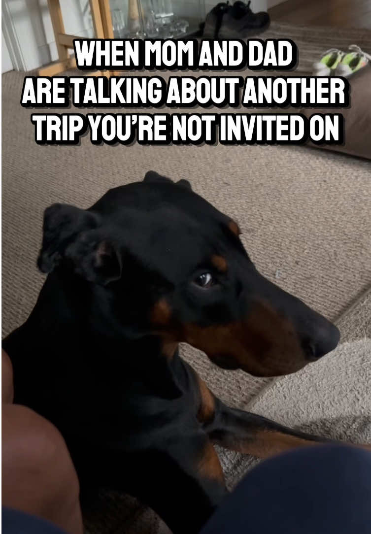 @thequinnyandkayshow