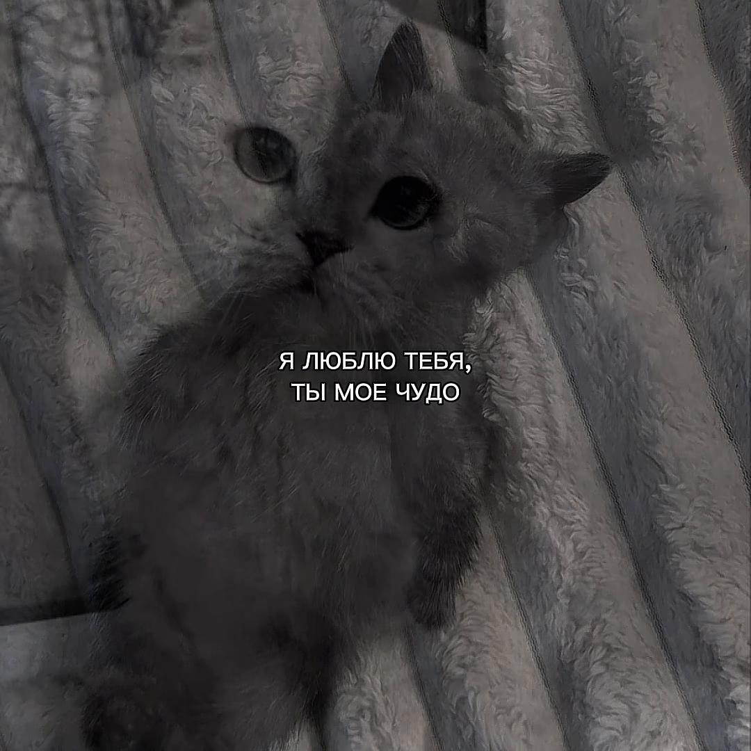 @ХХИКА