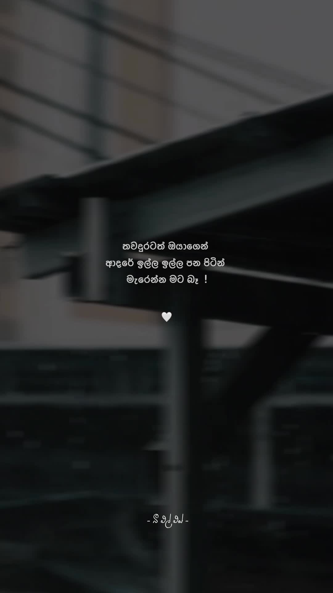 @𝒯𝒽𝑒 𝐵𝓁𝓈 ♡ !