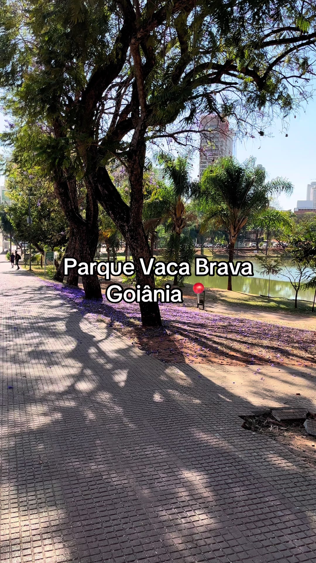 @Paixão Goiana