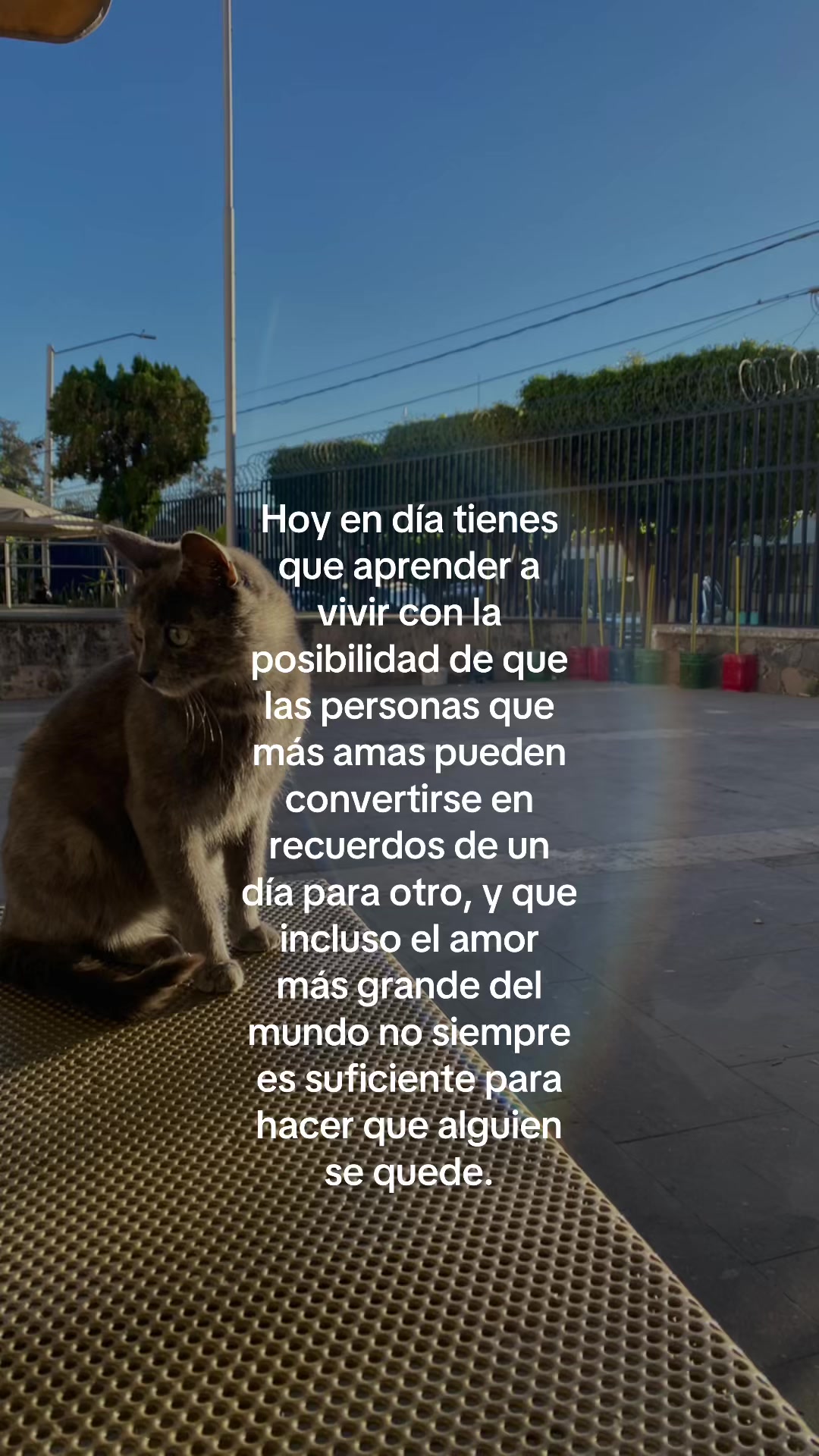 @Vale